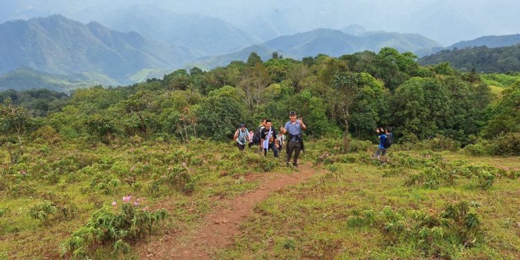 หวิดดี้ยงฟ้าผ่านักท่องเที่ยวคาดอยสูงระดมช่วยโกลาหล 12 หวิดดี้ยงฟ้าผ่านักท่องเที่ยวคาดอยสูงระดมช่วยโกลาหล
