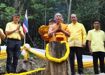 ผู้ว่าฯ ประจวบคีรีขันธ์ นำทุกภาคส่วนร่วมน้อมรำลึกพระมหากรุณาธิคุณ พระบาทสมเด็จพระบรมชนกาธิเบศร มหาภูมิพลอดุลยเดชมหาราช บรมนาถบพิตร ในกิจกรรมสืบสานประเพณีชาวกุย วางดอกไม้สีเหลืองตอเอกไม้จันทน์หอม ที่อุทยานแห่งชาติกุยบุรี