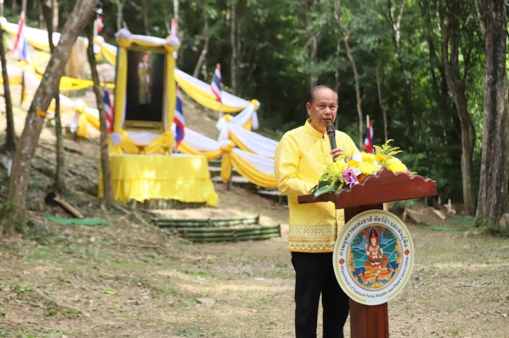 ผู้ว่าฯ ประจวบคีรีขันธ์ นำทุกภาคส่วนร่วมน้อมรำลึกพระมหากรุณาธิคุณ พระบาทสมเด็จพระบรมชนกาธิเบศร มหาภูมิพลอดุลยเดชมหาราช บรมนาถบพิตร ในกิจกรรมสืบสานประเพณีชาวกุย วางดอกไม้สีเหลืองตอเอกไม้จันทน์หอม ที่อุทยานแห่งชาติกุยบุรี 13 Talknews Online