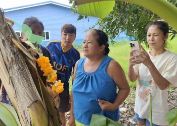 นครนายก – ชาวบ้านพบกล้วยแปลกแหวกกลางต้น ไม่พลาดนับหวีหาโชค