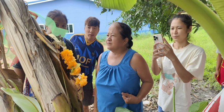 นครนายก – ชาวบ้านพบกล้วยแปลกแหวกกลางต้น ไม่พลาดนับหวีหาโชค