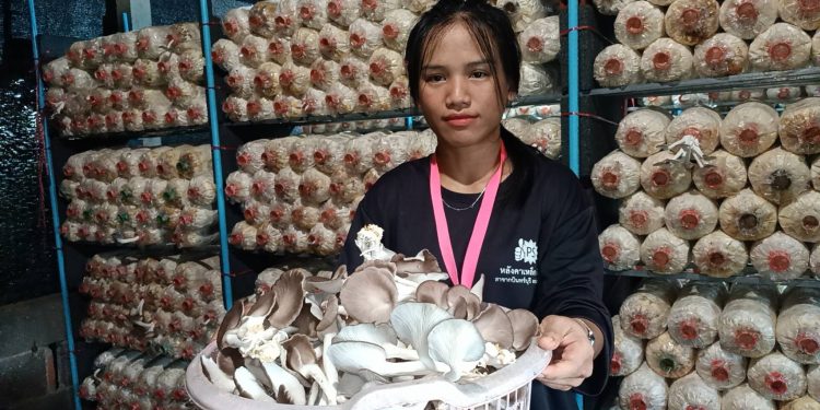 ปราจีนบุรี สาวโรงงานทำเห็ดสร้างรายได้วันละ 400 บาท