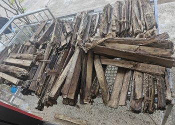 การกู้ชีพพื้นฟูใบลาน ล้วนแต่เป็นงานที่ “หนักหนาและท้าทาย