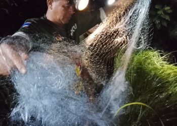 ปราจีนบุรี ตาเห่อตาข่ายใหม่แอบไปลงที่บ่อดักปลาจมน้ำดับ