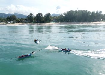 พังงา-เริ่มแล้วฤดูเจ้ยเคย ชาวประมงพื้นบ้านออกเรือเจ้ยตัวเคยขาย สร้างรายได้วันละนับหมื่นบาท