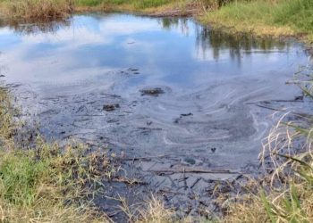 ชาวบ้านสุดทนร้องเจ้าหน้าที่สำนักการข่าว กอ.รมน ตรวจสอบปัญหากลิ่นรบกวน และน้ำเสียจากฟาร์มสุกรร้องจนเบื่อเหม็นเหมือนเดิม