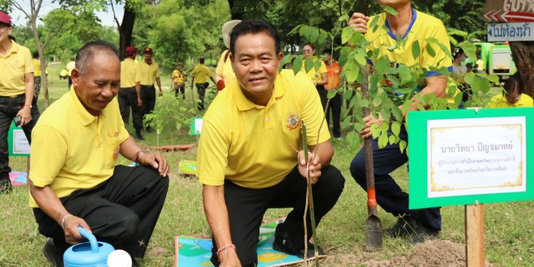 กาฬสินธุ์ทสจ.กาฬสินธุ์จัดกิจกรรมวันรักต้นไม้ประจำปีของชาติ 12 กาฬสินธุ์ทสจ.กาฬสินธุ์จัดกิจกรรมวันรักต้นไม้ประจำปีของชาติ