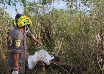 ปราจีนบุรี พบศพถูกฆาตกรรมมัดมือเสียชีวิตในป่ามัน