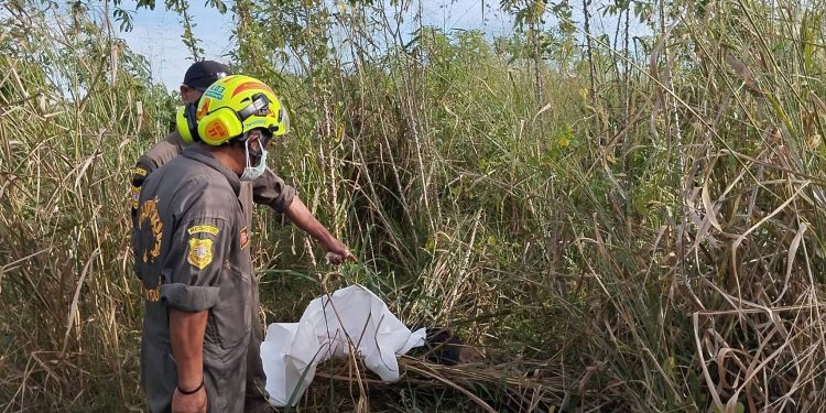 ปราจีนบุรี พบศพถูกฆาตกรรมมัดมือเสียชีวิตในป่ามัน 12 ปราจีนบุรี พบศพถูกฆาตกรรมมัดมือเสียชีวิตในป่ามัน