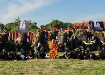 พสกนิกรและช้างอยุธยาน้อมรำลึกในพระมหากรุณาธิคุณ สมเด็จพระนางเจ้าสิริกิติ์ พระบรมราชชนนีพันปีหลวง ภายหลังเสด็จสวรรคต