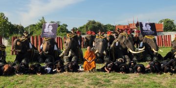 พสกนิกรและช้างอยุธยาน้อมรำลึกในพระมหากรุณาธิคุณ สมเด็จพระนางเจ้าสิริกิติ์ พระบรมราชชนนีพันปีหลวง ภายหลังเสด็จสวรรคต 30 พสกนิกรและช้างอยุธยาน้อมรำลึกในพระมหากรุณาธิคุณ สมเด็จพระนางเจ้าสิริกิติ์ พระบรมราชชนนีพันปีหลวง ภายหลังเสด็จสวรรคต