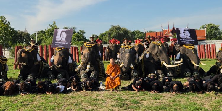 พสกนิกรและช้างอยุธยาน้อมรำลึกในพระมหากรุณาธิคุณ สมเด็จพระนางเจ้าสิริกิติ์ พระบรมราชชนนีพันปีหลวง ภายหลังเสด็จสวรรคต 12 พสกนิกรและช้างอยุธยาน้อมรำลึกในพระมหากรุณาธิคุณ สมเด็จพระนางเจ้าสิริกิติ์ พระบรมราชชนนีพันปีหลวง ภายหลังเสด็จสวรรคต