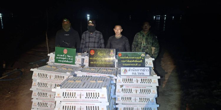 มุกดาหาร กองกำลังสุรศักดิ์มนตรี แก๊งขนลูกเจี๊ยบเวียดนามข้ามแม่น้ำโขง ลักลอบนำเข้าไทยโดยไม่เสียภาษี กว่า 3,700 ตัว