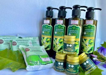 กลุ่มวิสาหกิจท่องเที่ยวโดยชุมชนบ้านสามช่องเหนือ แปรรูป “สมุนไพรเหงือกปลาหมอ” ยกระดับจากพืชริมป่า สู่สินค้าผลิตภัณฑ์สร้างรายได้ในตลาดสากล