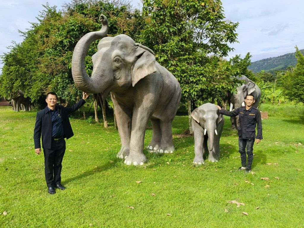 จังหวัดลพบุรี สนองพระราชปณิธานพระพันปีหลวงที่นำช้างคืนสู่ป่าซับลังกา 13 Talknews Online