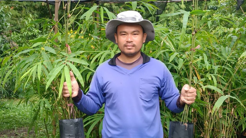 ปราจีนบุรี ไผ่ซางหม่น4ปีทำเฟอร์นิเจอร์ขายได้แล้ว 13 Talknews Online