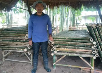 ปราจีนบุรี ไผ่ซางหม่น4ปีทำเฟอร์นิเจอร์ขายได้แล้ว 34 ปราจีนบุรี ไผ่ซางหม่น4ปีทำเฟอร์นิเจอร์ขายได้แล้ว