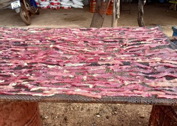 สกลนคร เนื้อแดดเดียว หนังเค็มแม่นี สุดยอดความอร่อยขายดีหน้าหนาว 15 สกลนคร เนื้อแดดเดียว หนังเค็มแม่นี สุดยอดความอร่อยขายดีหน้าหนาว