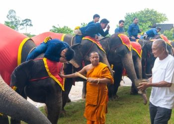 สวนนงนุชพัทยา จัดพิธีรับขวัญลูกช้าง “พลายจอมทอง” เชื่อมสายใยแห่งความผูกพันกับ “น้องข้าวต้ม” ลูกช้างป่าพลัดหลง