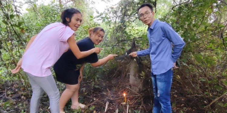 นครนายก - ชาวบ้านพบจอมปลวกแปลกคล้ายหัวสุนัขและเรือสุพรรณหงส์จุดธูปขอโชค 12 นครนายก – ชาวบ้านพบจอมปลวกแปลกคล้ายหัวสุนัขและเรือสุพรรณหงส์จุดธูปขอโชค