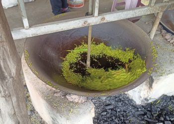 สกลนคร ดูการผลิตข้าวเม่าแม่นก แม่เครือวัลย์บ้านงิ้วด่อนไม่ง่ายกว่าจะได้แต่ละกิโล