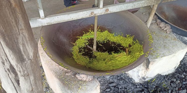 สกลนคร ดูการผลิตข้าวเม่าแม่นก แม่เครือวัลย์บ้านงิ้วด่อนไม่ง่ายกว่าจะได้แต่ละกิโล 12 สกลนคร ดูการผลิตข้าวเม่าแม่นก แม่เครือวัลย์บ้านงิ้วด่อนไม่ง่ายกว่าจะได้แต่ละกิโล