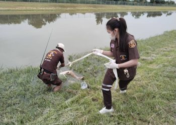 นครปฐม คืบหน้า ถ่วงน้ำหญิง คลองชลประทาน คาดเป็นสาวใหญ่ สมุทรสาคร