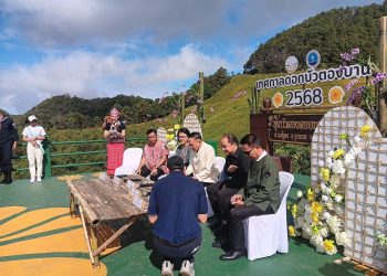 แม่ฮ่องสอนแถลงความพร้อมเปิดเทศกาลท่องเที่ยวทุ่งดอกบัวตองดอยแม่อูคอเน้นเที่ยวถิ่นบัวแห่งแรกของไทย 17 แม่ฮ่องสอนแถลงความพร้อมเปิดเทศกาลท่องเที่ยวทุ่งดอกบัวตองดอยแม่อูคอเน้นเที่ยวถิ่นบัวแห่งแรกของไทย