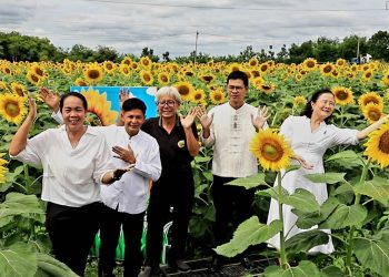 ดลพบุรี ทุ่งทานตะวันเพื่อการท่องเที่ยวพร้อมรอรับนักท่องเที่ยวมาเยือน 18 ดลพบุรี ทุ่งทานตะวันเพื่อการท่องเที่ยวพร้อมรอรับนักท่องเที่ยวมาเยือน