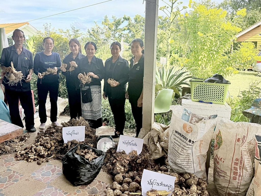 กฟก.เชียงราย ร่วมกิจกรรมและส่งมอบปัจจัยการผลิต งวดที่ 3 โครงการปลูกพืชสมุนไพร งบอุดหนุนองค์กรเกษตรกร 13 Talknews Online