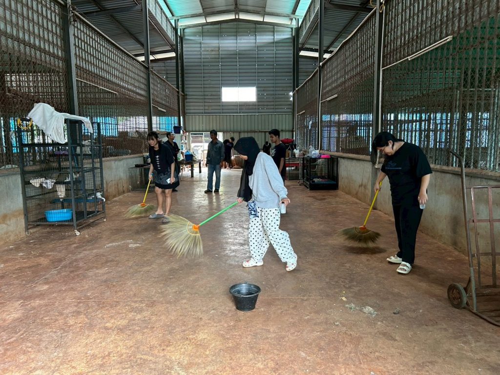 กาญจนบุรี - นักศึกษา มหิดลกาญจน์ จัดกิจกรรม “หนึ่งมือที่ยื่นให้ หนึ่งใจที่อุ่นขึ้น” เชิญชวนร่วมแบ่งปัน ณ มูลนิธิสงเคราะห์สัตว์ (หน้าวัดเสือ) ไทรโยค 13 Talknews Online