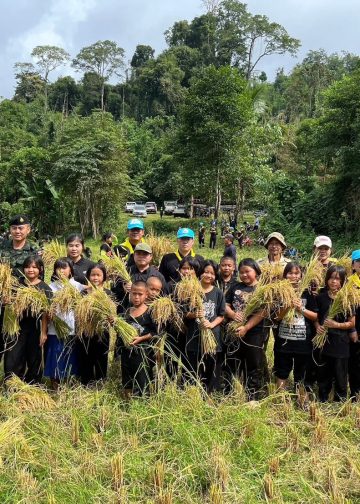 กาญจนบุรี – กิจกรรม “การทำนารวม สานสามัคคี สืบทอดวิถี ประเพณี วัฒนธรรม และการอนุรักษ์ผืนป่า”