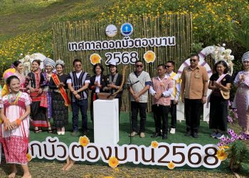 แม่ฮ่องสอน เปิดแล้วทุ่งดอกบัวตองดอยแม่อูคอ ดอกเหลืองอร่ามเต็มยอดดอยแม้จะลุ้นระทึกกับฝนที่ตกลงมาหนักกว่าทุกปี 15 แม่ฮ่องสอน เปิดแล้วทุ่งดอกบัวตองดอยแม่อูคอ ดอกเหลืองอร่ามเต็มยอดดอยแม้จะลุ้นระทึกกับฝนที่ตกลงมาหนักกว่าทุกปี