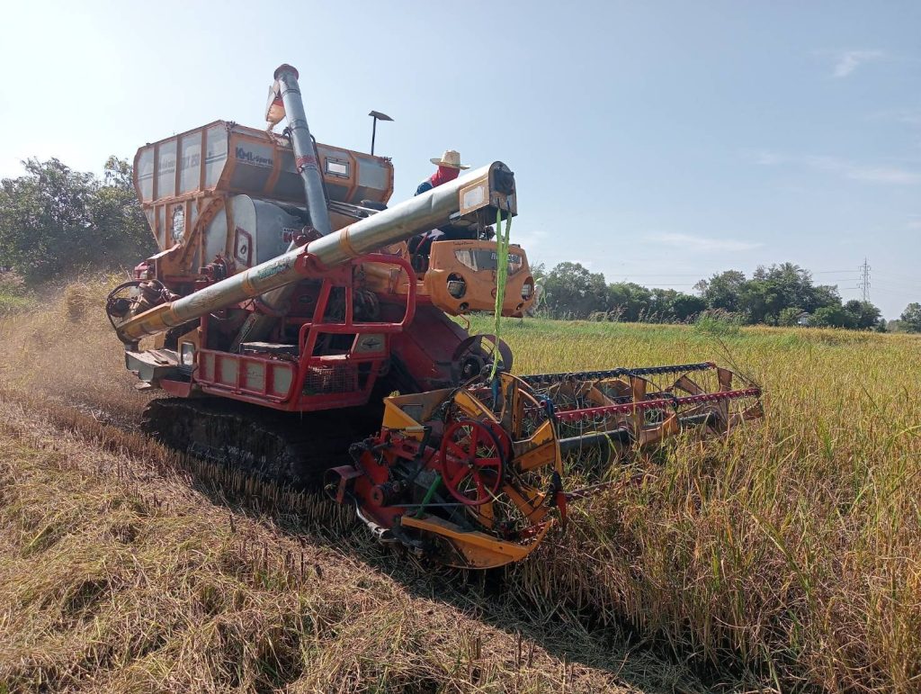 กาฬสินธุ์ชาวนาอ่วมข้าวเปลือกราคาถูกกว่าบะหมี่ กก.ละ 6 บาทขาดทุนซ้ำซาก 13 Talknews Online