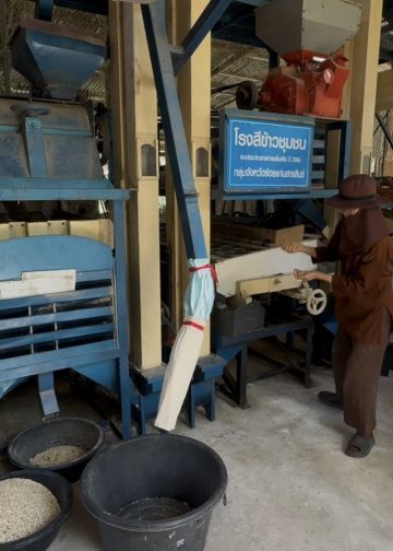 มหาสารคามขาดทุนคือกำไร