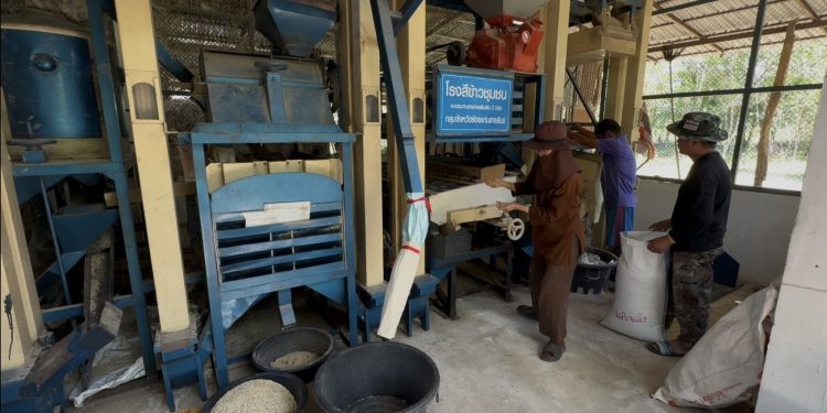 มหาสารคามขาดทุนคือกำไร 12 มหาสารคามขาดทุนคือกำไร