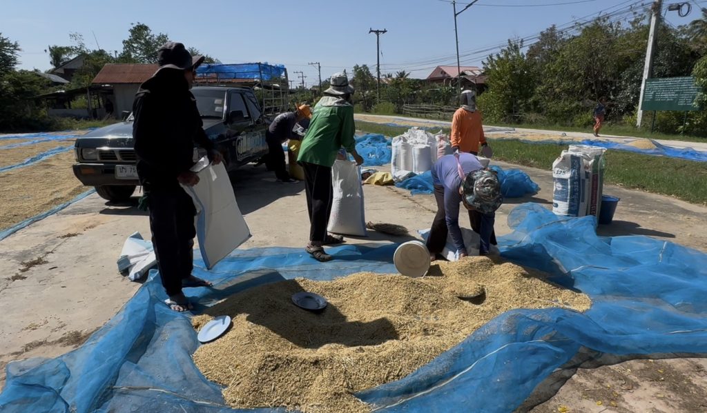 มหาสารคามขาดทุนคือกำไร 13 Talknews Online