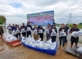 ลพบุรี ประมงปล่อยพันธุ์ปลาลงทุ่งบ้านหมี่ ท่าวุ้งแก้มลิงมูลนิธิชัยพัฒนากว่า 30 ล้านตัว