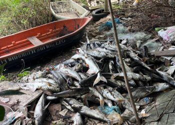 ปทุมธานี แม่ยายจาพนมเดือด แจ้งปลาในบ่อตายนับพัน สท.อ้างไม่ว่าง จนท.ไม่มี