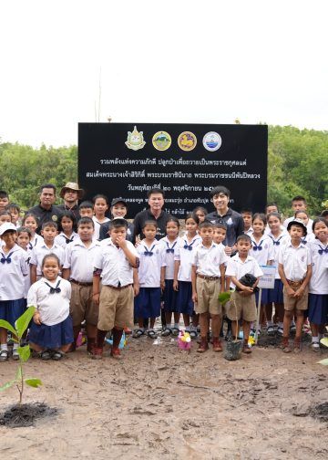 พังงา-ผู้ว่าพังงานำพสกนิกรแปรขบวนเป็นรูปหัวใจ สืบสานปณิธาน “แม่ของแผ่นดิน” ปลูกป่าชายเลนพลิกฟื้นระบบนิเวศ ถวายเป็นพระราชกุศล