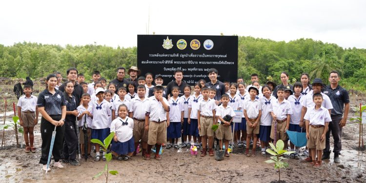 พังงา-ผู้ว่าพังงานำพสกนิกรแปรขบวนเป็นรูปหัวใจ สืบสานปณิธาน “แม่ของแผ่นดิน” ปลูกป่าชายเลนพลิกฟื้นระบบนิเวศ ถวายเป็นพระราชกุศล