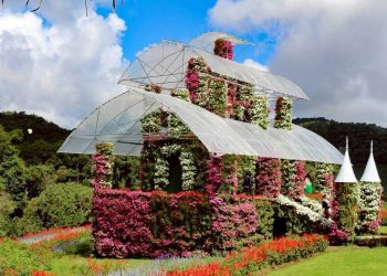 “สุรินทร์” เผย เที่ยวม่อนแจ่มตามปกติ “ปราสาทดอกไม้” ยันไม่ไปรับราคา ชี้เป็นจุดหมายปลายทาง-ทางเลือกรับ นทท. ที่เชียงใหม่