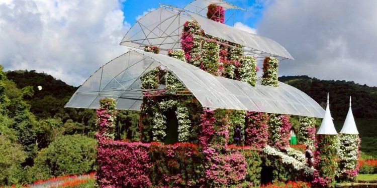 “สุรินทร์” เผย เที่ยวม่อนแจ่มตามปกติ “ปราสาทดอกไม้” ยันไม่ไปรับราคา ชี้เป็นจุดหมายปลายทาง-ทางเลือกรับ นทท. ที่เชียงใหม่