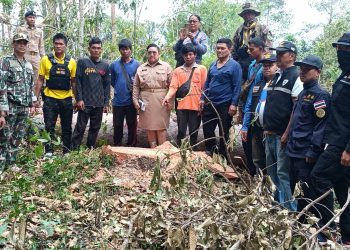ปราจีนบุรี ป่าไม้ฝ่ายปกครองจับผู้ลักลอบตัดไม้ที่สาธารณะ