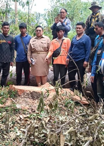 ปราจีนบุรี ป่าไม้ฝ่ายปกครองจับผู้ลักลอบตัดไม้ที่สาธารณะ