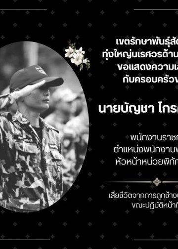 กาญจนบุรี – ทำพิธีฝังช้างเสียชีวิตแล้ว! ส่วนครูตู้ หน.หน่วยพิทักษ์ป่าทิขุ เสียชีวิตจากช้างป่าทำร้าย เป็น 1 ในทีมจับกุมคดีล่าเสือดำ คดีดังปี 61