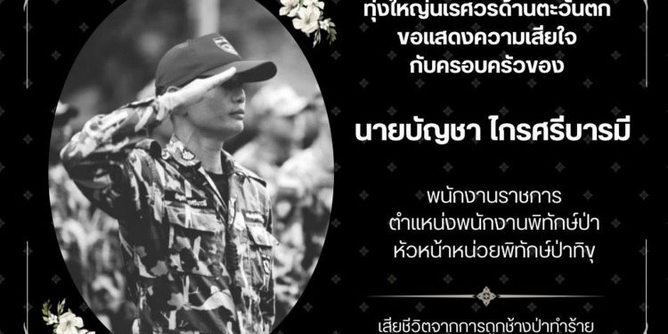 กาญจนบุรี - ทำพิธีฝังช้างเสียชีวิตแล้ว! ส่วนครูตู้ หน.หน่วยพิทักษ์ป่าทิขุ เสียชีวิตจากช้างป่าทำร้าย เป็น 1 ในทีมจับกุมคดีล่าเสือดำ คดีดังปี 61 12 กาญจนบุรี – ทำพิธีฝังช้างเสียชีวิตแล้ว! ส่วนครูตู้ หน.หน่วยพิทักษ์ป่าทิขุ เสียชีวิตจากช้างป่าทำร้าย เป็น 1 ในทีมจับกุมคดีล่าเสือดำ คดีดังปี 61