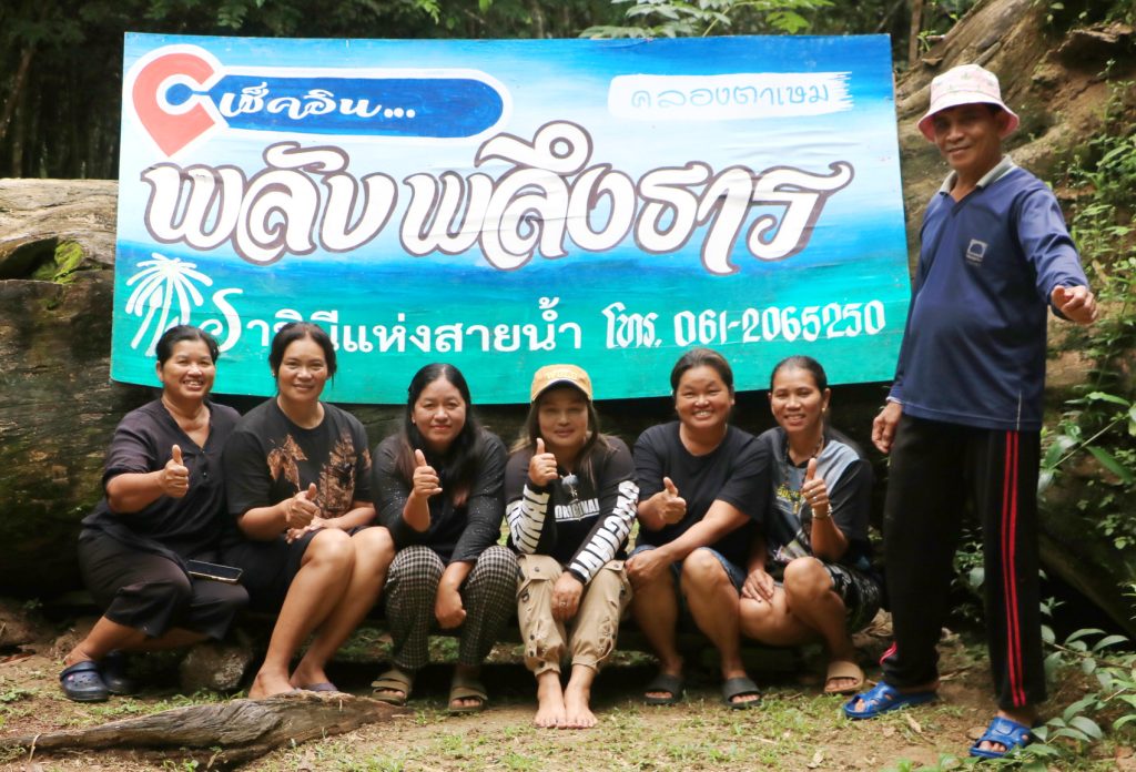 พังงา-หนึ่งเดียวในโลก พลับพลึงธาร ราชินีแห่งสายน้ำ ออกดอกบานสะพรั่งที่คลองตาเษม คุระบุรี 13 Talknews Online