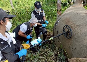 กาญจนบุรี – ผลผ่าซากช้างป่าพบลูกตะกั่ว ฝังร่าง 6 เม็ด เร่งล่าผู้ก่อเหตุดำเนินคดี ส่วนรมว.ทส.มอบ ผอ.สบอ.3(บ้านโป่ง) เป็น ปธ.พิธีรดน้ำหลวงอาบศพ ครูตู้ พนักงานพิทักษ์ป่า ขสป.ทุ่งใหญ่นเรศวรฯเย็นนี้