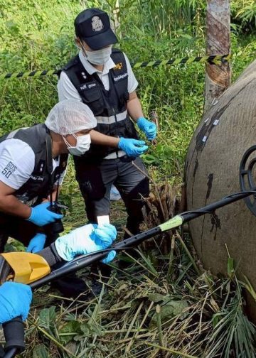 กาญจนบุรี – ผลผ่าซากช้างป่าพบลูกตะกั่ว ฝังร่าง 6 เม็ด เร่งล่าผู้ก่อเหตุดำเนินคดี ส่วนรมว.ทส.มอบ ผอ.สบอ.3(บ้านโป่ง) เป็น ปธ.พิธีรดน้ำหลวงอาบศพ ครูตู้ พนักงานพิทักษ์ป่า ขสป.ทุ่งใหญ่นเรศวรฯเย็นนี้